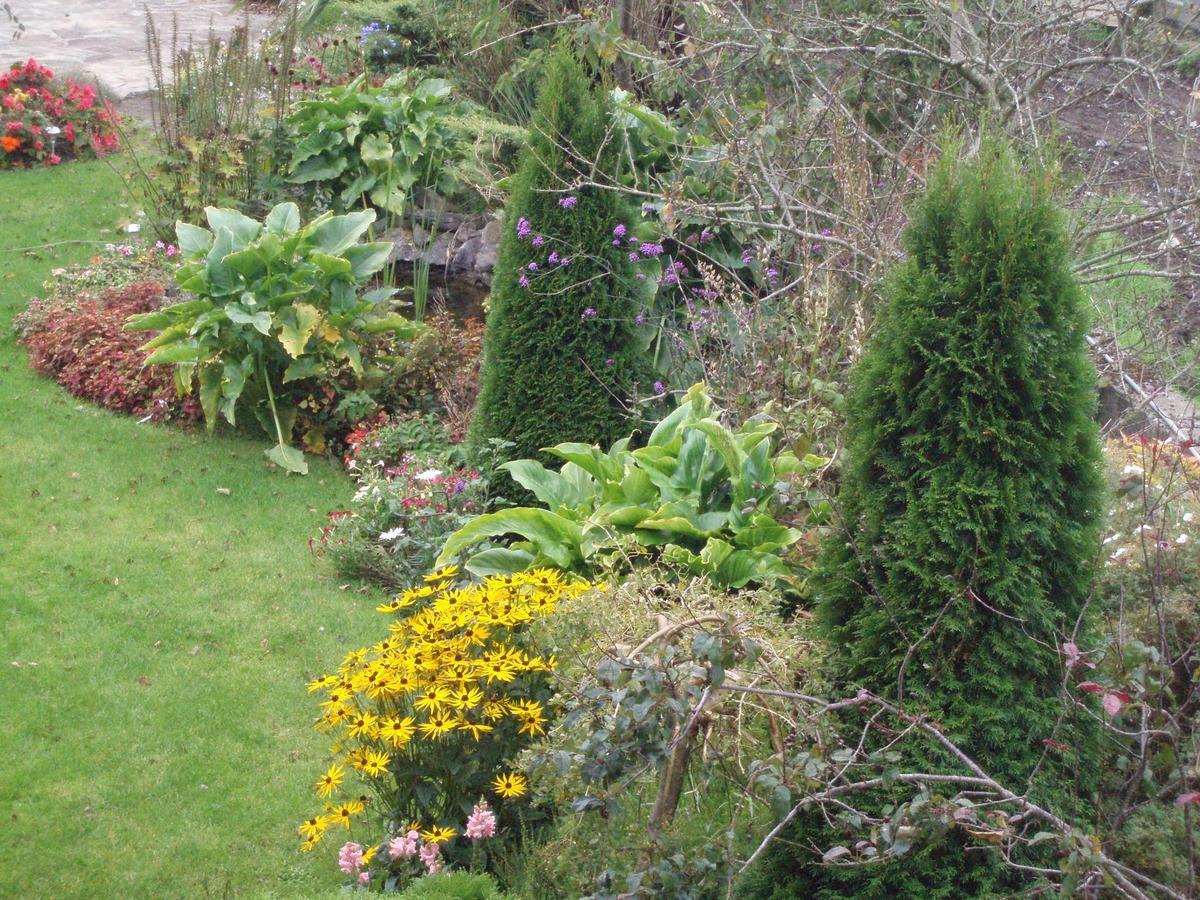 Rosdarrig Bed & Breakfast Бойл Екстериор снимка